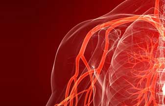 Jorge Agle Kalil - Foto 1