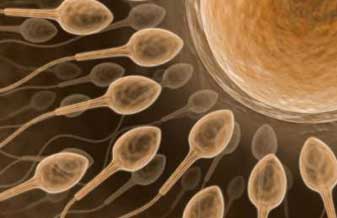 Biogencs Clínica de Reprodução Humana - Foto 1