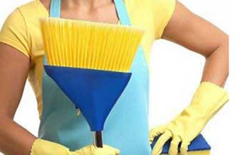 Domestic Center - Foto 1