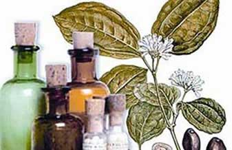 Farmácia De Manipulação Uniflora Tatuapé - Foto 1