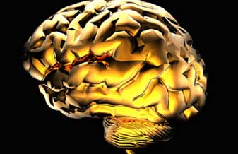 Neurohealth - Foto 1