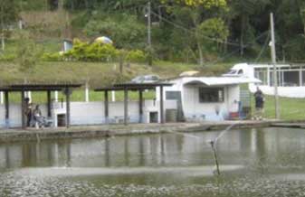 Ilha Morena Praia E Pesca - Foto 1
