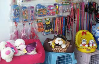 Identidade Animal Comercial - Foto 1