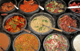 Broto Da Terra - Foto 1