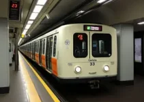 linha 23-limão