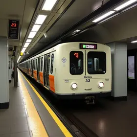 linha 23-limão