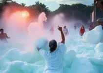 festa da espuma