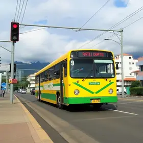 Tatuapé para Vila Prudente de transporte público