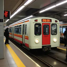 falha na linha 11-coral