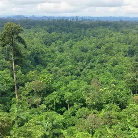 O Diário De Pilar Na Amazônia