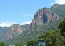 curso gratuito de Transporte Terrestre
